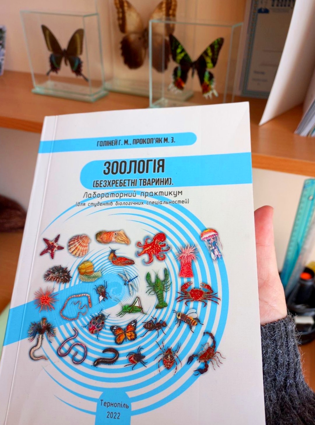 «Зоологія (безхребетні тварини). Лабораторний практикум (для студентів біологічних спеціальностей)»